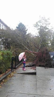 Hurricane/Superstorm Sarah 10-29-12.  Melhoney in picture, near Lacie's Brownstone in Brooklyn, NY.