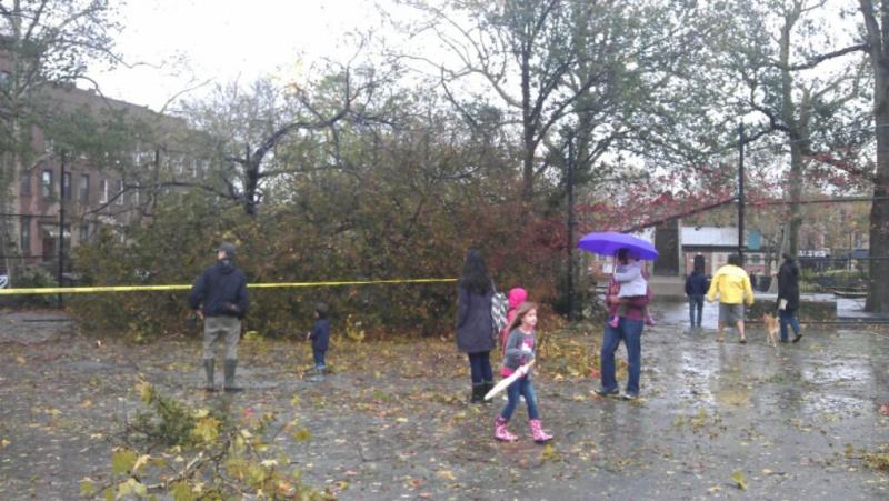 Hurricane/Superstorm Sarah 10-29-12.  Melhoney in picture, near Lacie's Brownstone in Brooklyn, NY.