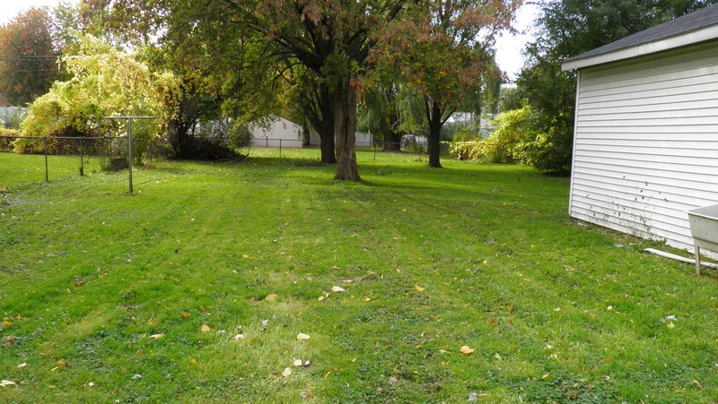 View of the back yard from the deck.