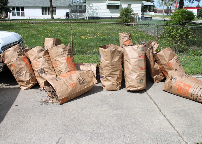 Just some of the bags of branches we got out of his back yard. I think there are at least 14 bags just from today.