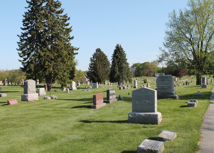 IMG 0739