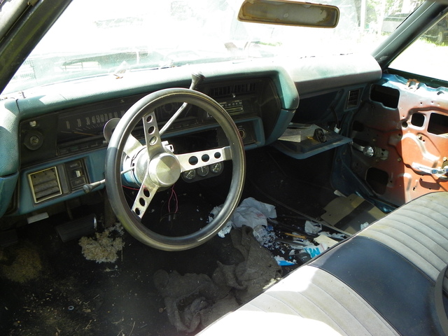 chevelledash