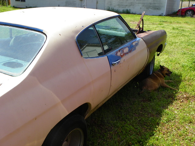 chevelleright