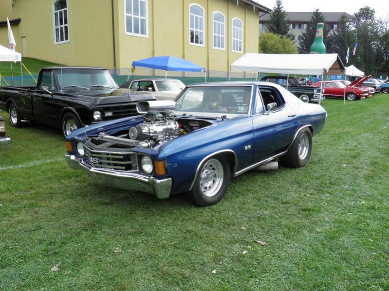 P9100593
One of the most unique Chevelles.