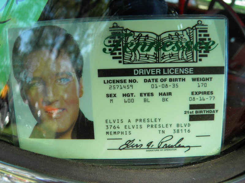 PA100095
Many of the vehicles had the Elvis drivers license posted in their window.