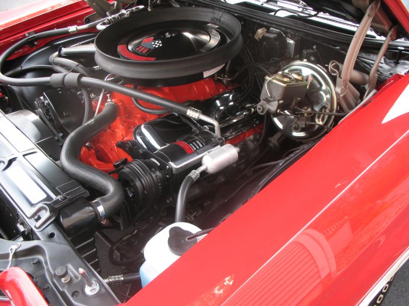 Chevelle Rejuvination 2010 008